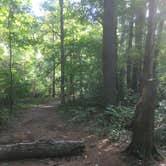 Review photo of Harold Parker State Forest - Lorraine Campground by Alan , September 24, 2021