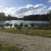 Review photo of Harold Parker State Forest - Lorraine Campground by Alan , September 24, 2021