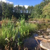 Review photo of Harold Parker State Forest - Lorraine Campground by Alan , September 24, 2021