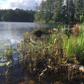 Review photo of Harold Parker State Forest - Lorraine Campground by Alan , September 24, 2021