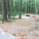 Review photo of Harold Parker State Forest - Lorraine Campground by Alan , September 24, 2021