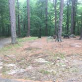 Review photo of Harold Parker State Forest - Lorraine Campground by Alan , September 24, 2021