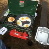 Review photo of Harold Parker State Forest - Lorraine Campground by Alan , September 24, 2021