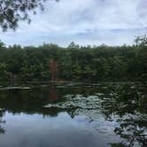 Review photo of Harold Parker State Forest - Lorraine Campground by Alan , September 24, 2021