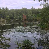 Review photo of Harold Parker State Forest - Lorraine Campground by Alan , September 24, 2021