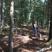 Review photo of Harold Parker State Forest - Lorraine Campground by Alan , September 24, 2021