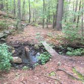 Review photo of Harold Parker State Forest - Lorraine Campground by Alan , September 24, 2021