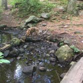 Review photo of Harold Parker State Forest - Lorraine Campground by Alan , September 24, 2021