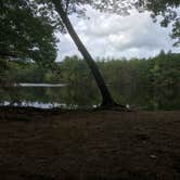 Review photo of Harold Parker State Forest - Lorraine Campground by Alan , September 24, 2021