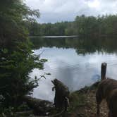 Review photo of Harold Parker State Forest - Lorraine Campground by Alan , September 24, 2021