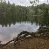 Review photo of Harold Parker State Forest - Lorraine Campground by Alan , September 24, 2021