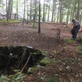 Review photo of Harold Parker State Forest - Lorraine Campground by Alan , September 24, 2021