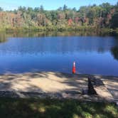 Review photo of Harold Parker State Forest - Lorraine Campground by Alan , September 24, 2021