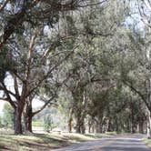 Review photo of Islay Creek Campground — Montaña de Oro State Park by Annie C., July 1, 2018