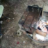 Review photo of Cook Forest State Park Campground by Danielle S., September 24, 2021