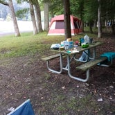 Review photo of Cook Forest State Park Campground by Danielle S., September 24, 2021