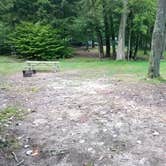 Review photo of Cook Forest State Park Campground by Danielle S., September 24, 2021