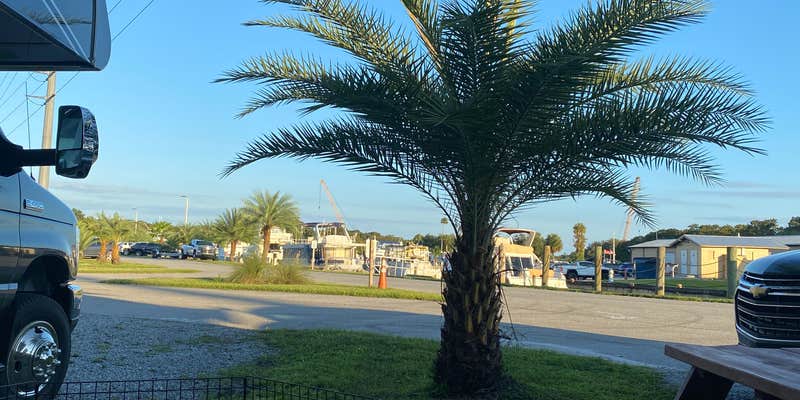 Camper submitted image from St. Johns River KOA