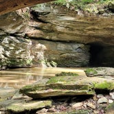 Review photo of Carter Caves State Resort Park by Amanda S., September 24, 2021