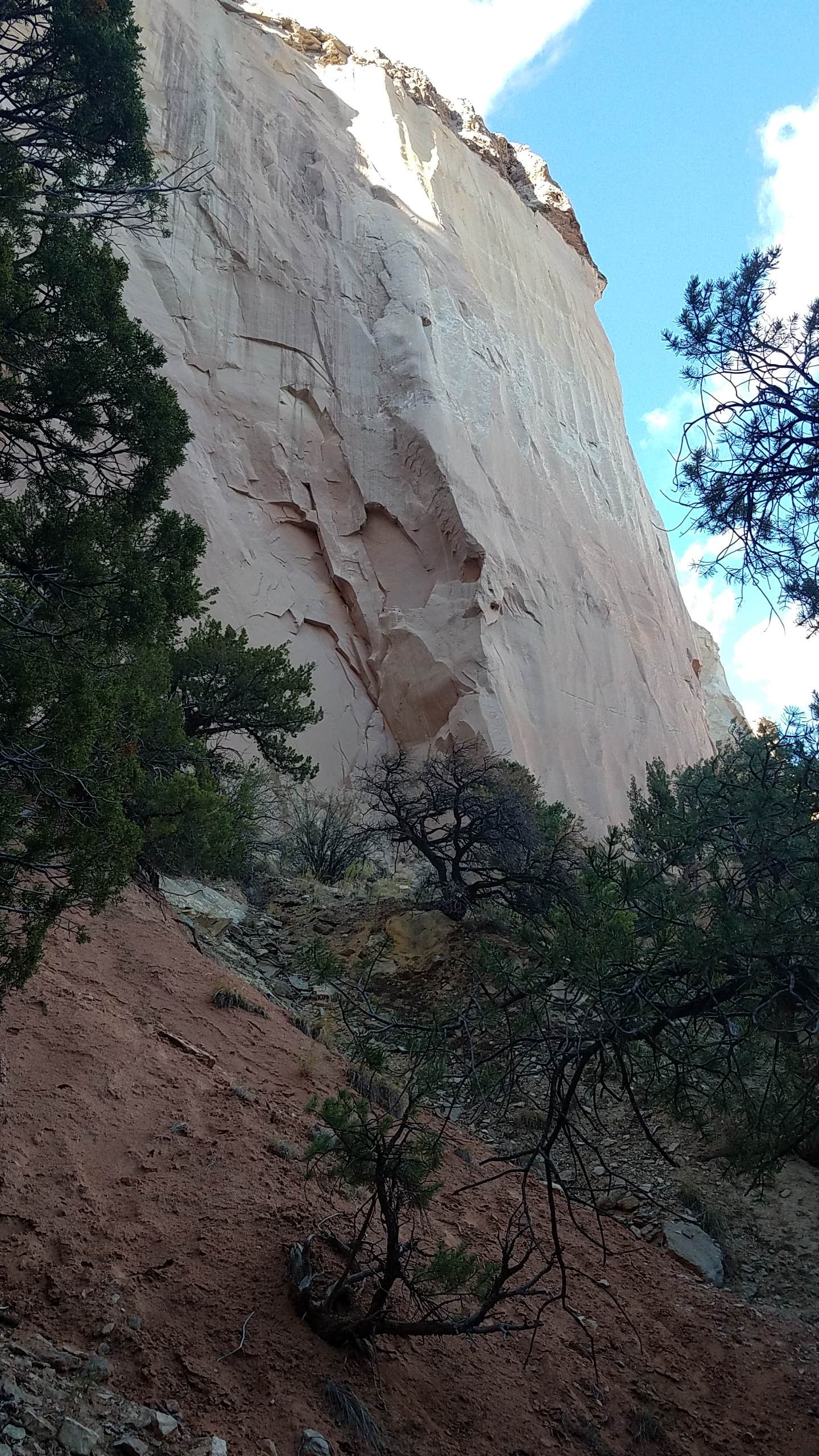 Camper-submitted photo at Echo Campground near Youngsville, NM
