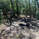 Review photo of Albert Mountain Firetower Dispersed Campsite by William S., September 25, 2021