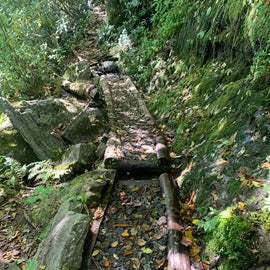 Some of the paths up on the Appalachian Trail have ingenious (if tricky) paths, like this one cut to allow water to flow down the mountain.