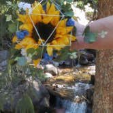 Review photo of Gore Creek Campground by Stan , September 25, 2021