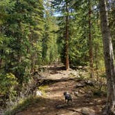 Review photo of Gore Creek Campground by Stan , September 25, 2021