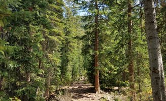 Stan's photo of camping with pets at Gore Creek Campground near Minturn, CO
