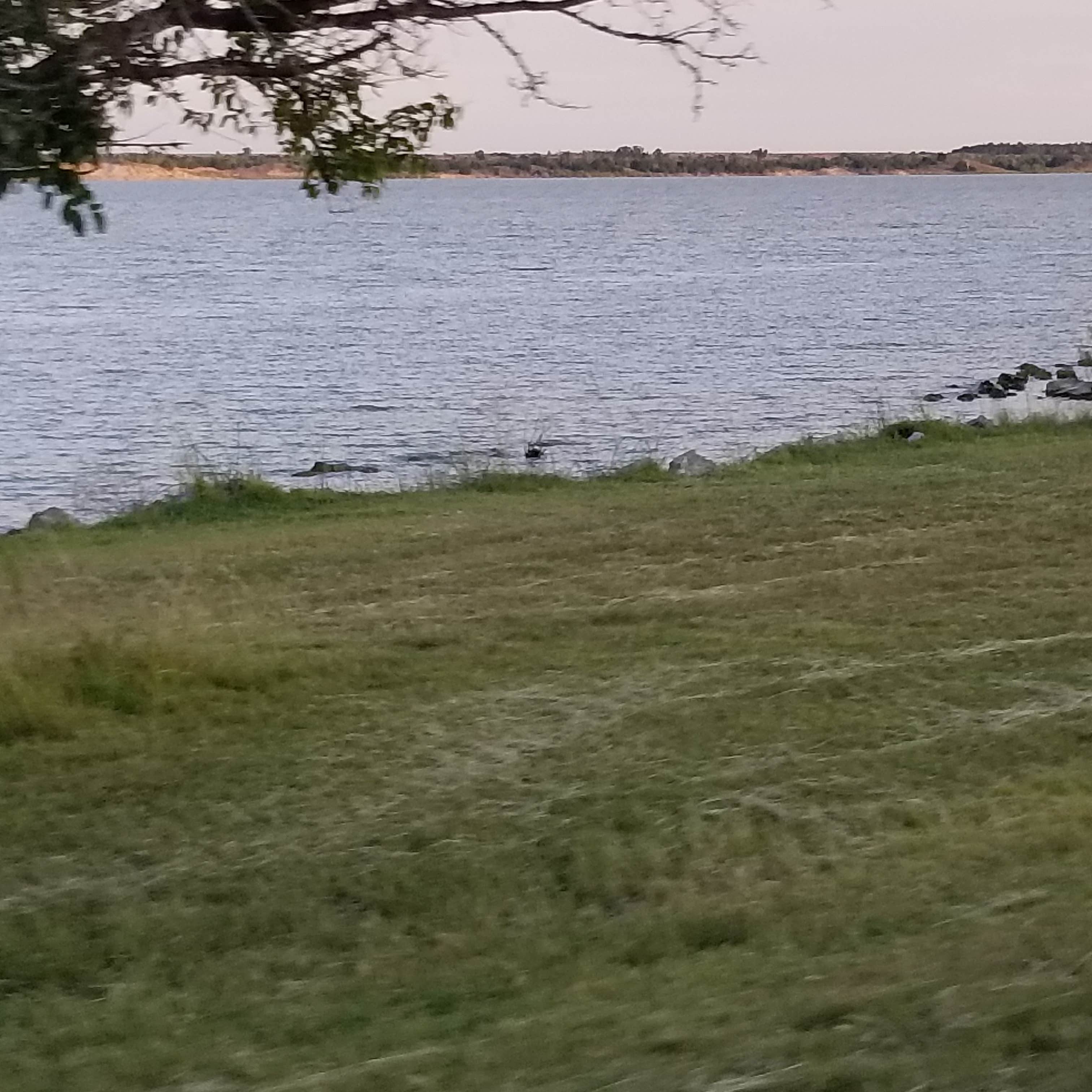 COE Fort Supply Lake Supply Park Camping The Dyrt