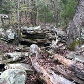 Review photo of Robbers Cave State Park — Robbers Cave State Resort Park by Aaron T., September 25, 2021