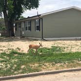 Review photo of Devils Tower View Campground by Aaron T., September 25, 2021