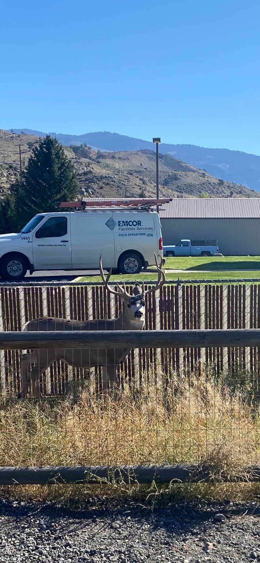 Donna H.'s photo of rv camping at Sun Outdoors Yellowstone North near Silver Gate, MT