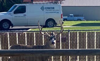 Donna H.'s photo of rv camping at Sun Outdoors Yellowstone North in Montana