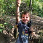 Review photo of Cold Springs Campground — Chickasaw National Recreation Area by Aaron T., September 13, 2021