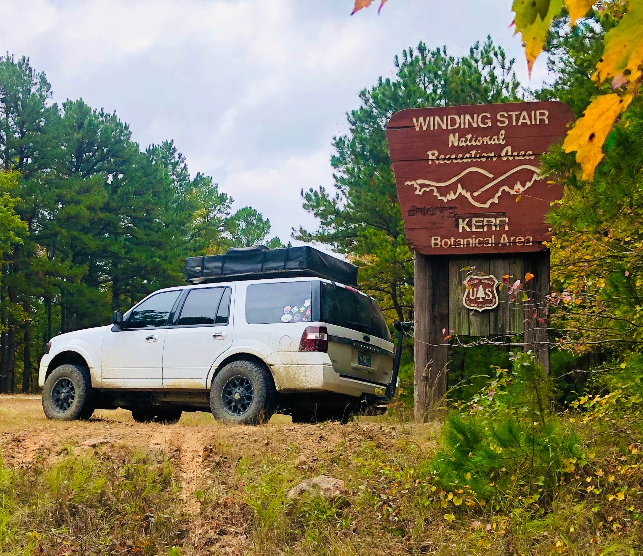 Camper submitted image from Talimena Scenic Drive - 3