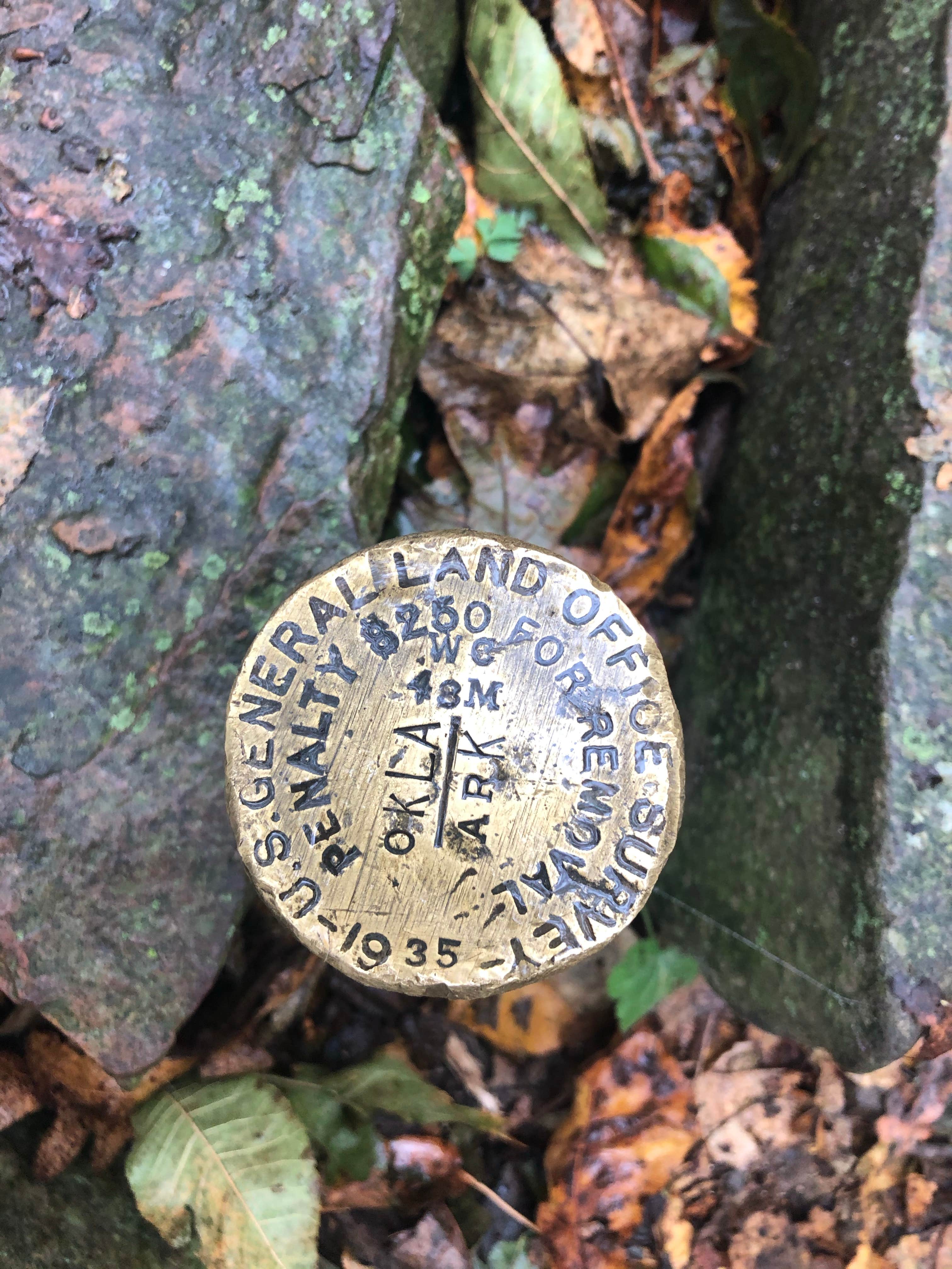 Camper-submitted photo at Talimena Scenic Drive near Big Cedar, OK