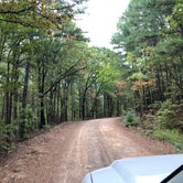 Review photo of Talimena Scenic Drive by Aaron T., September 25, 2021