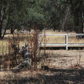 Review photo of Military Park Fort Hunter Liggett Primitive Campground by Annie C., July 1, 2018