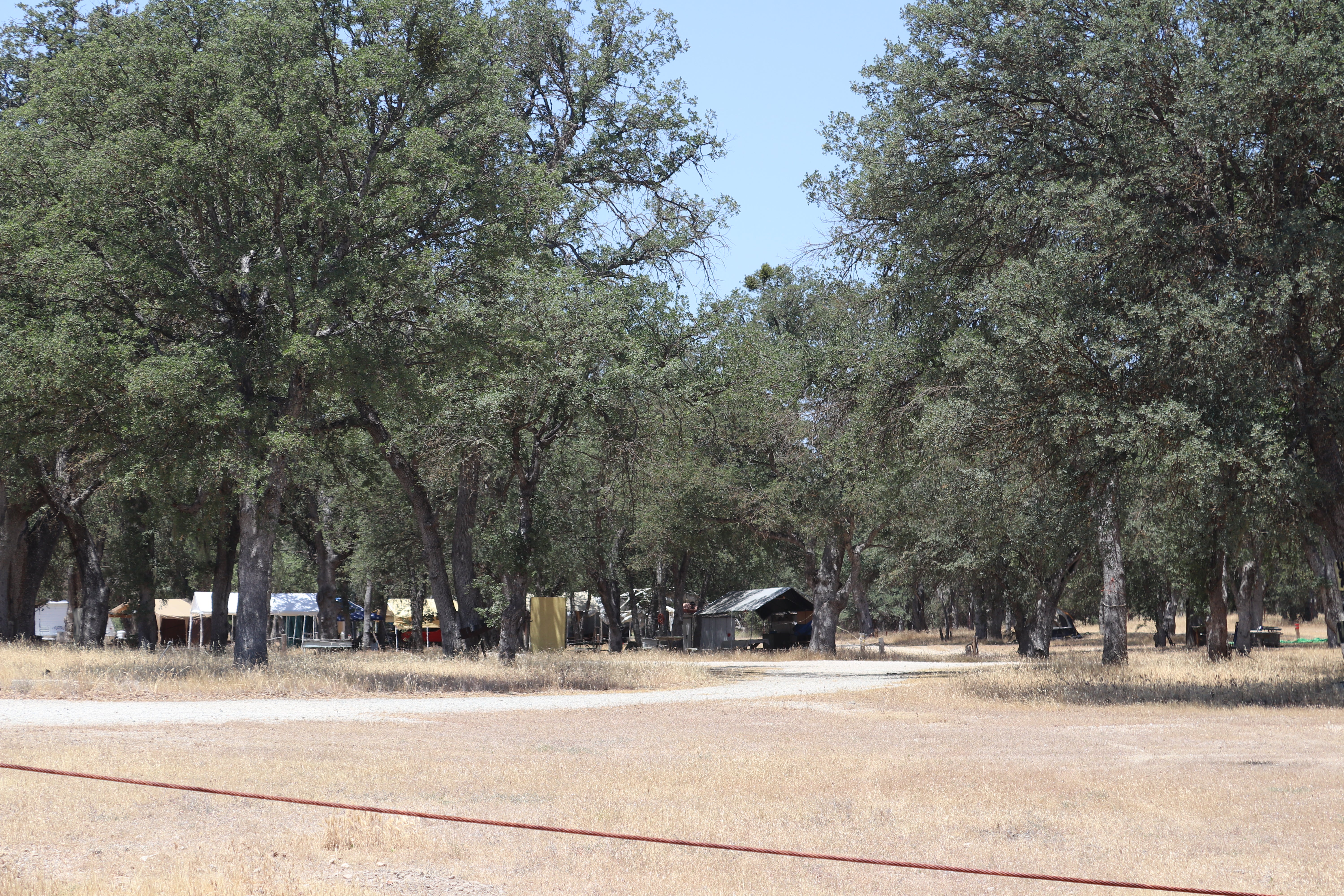 Camper submitted image from Military Park Fort Hunter Liggett Primitive Campground - 4
