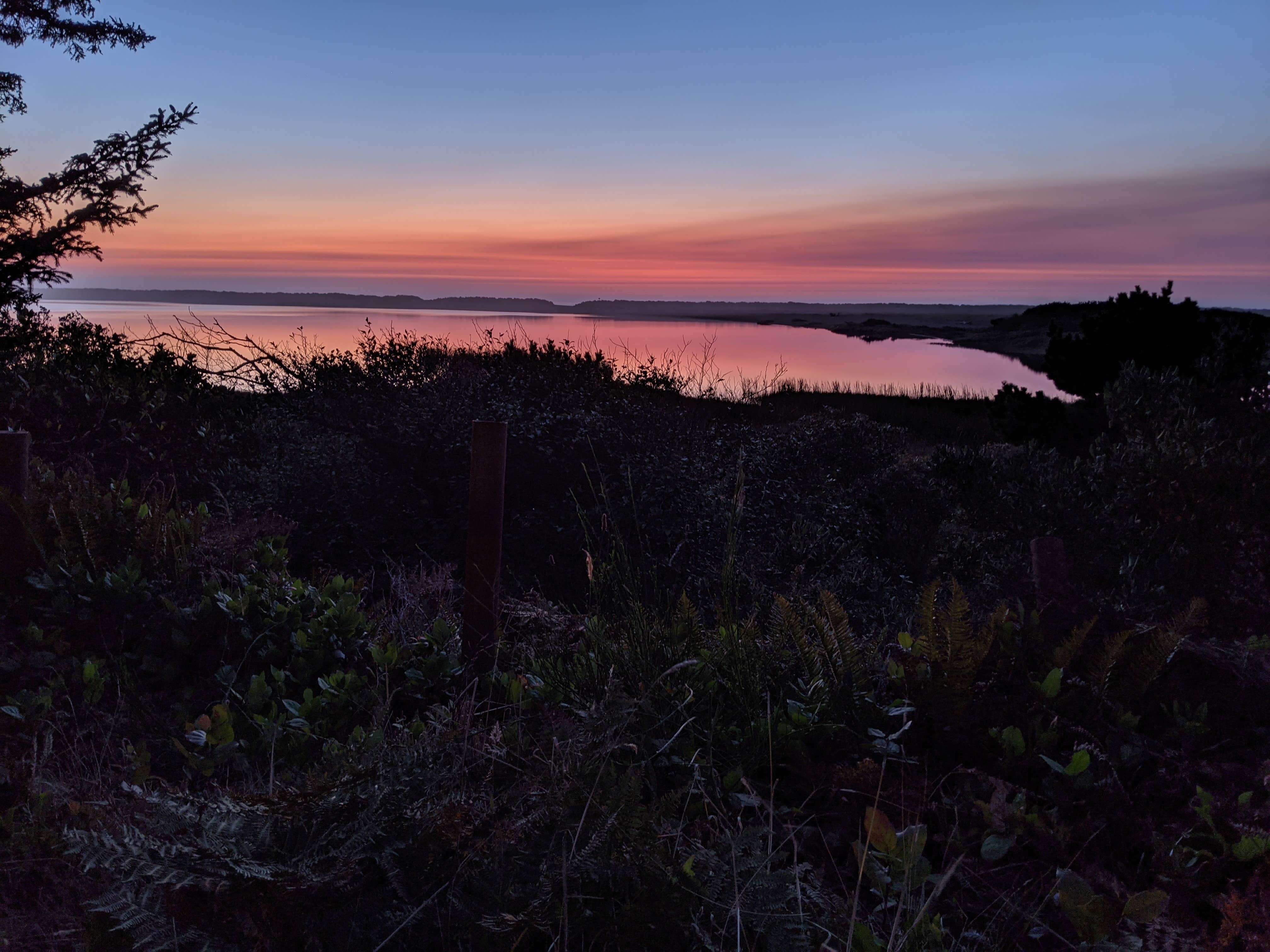 Camper-submitted photo at Boice-Cope Campground near Bandon, OR