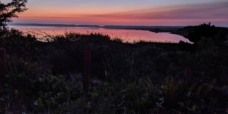Camper submitted image from Boice-Cope Campground