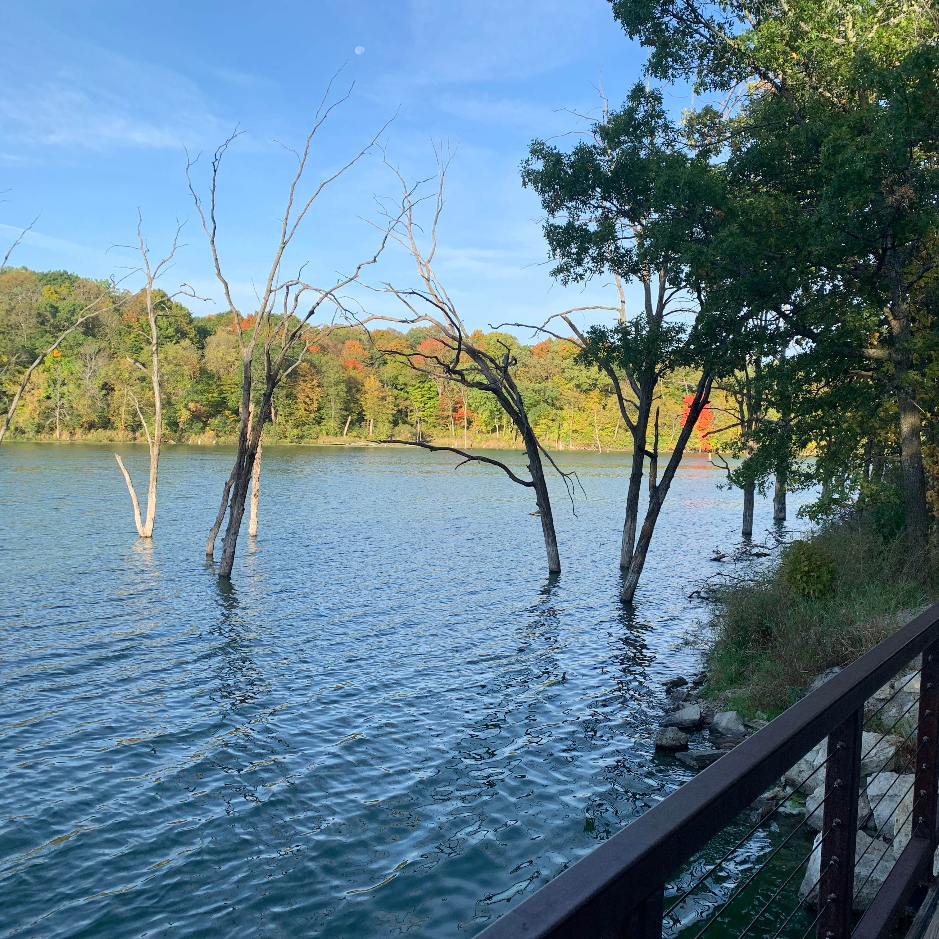 Chester Woods Park Camping The Dyrt