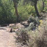 Review photo of Sand Island Recreation Area — Bears Ears National Monument by Greg L., September 25, 2021