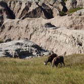 Review photo of Buffalo Gap Dispersed Camping by Isaac W., September 25, 2021