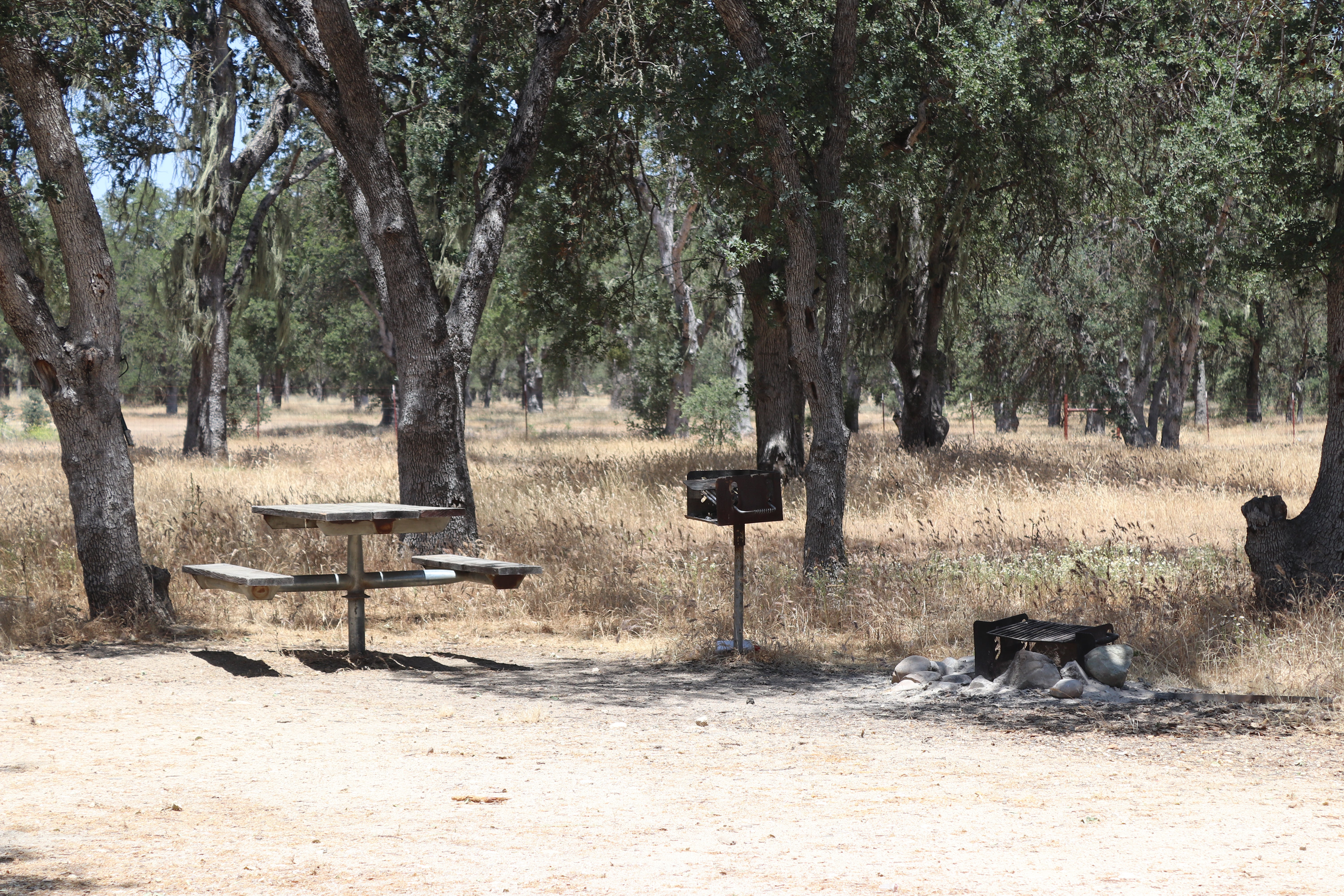 Camper submitted image from Military Park Fort Hunter Liggett Primitive Campground - 1