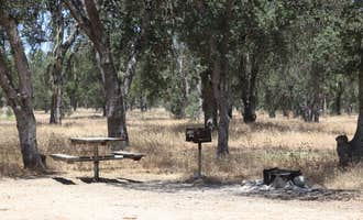 Camping near San Lorenzo Park: Military Park Fort Hunter Liggett Primitive Campground, Jolon, California