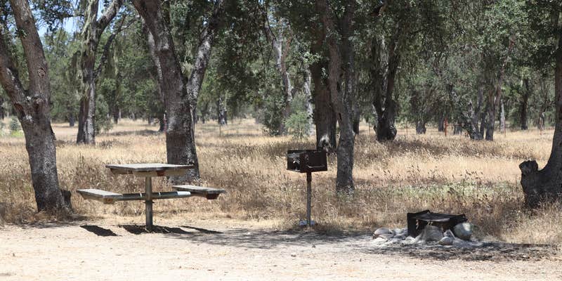 Camper submitted image from Military Park Fort Hunter Liggett Primitive Campground