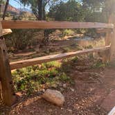 Review photo of South Campground — Zion National Park by Tessa S., September 24, 2021