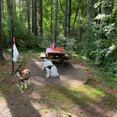 Review photo of Stony Fork Campground by Gwynn G., September 25, 2021